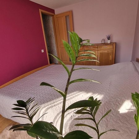 Apartment Kursi Kolka Luaran gambar